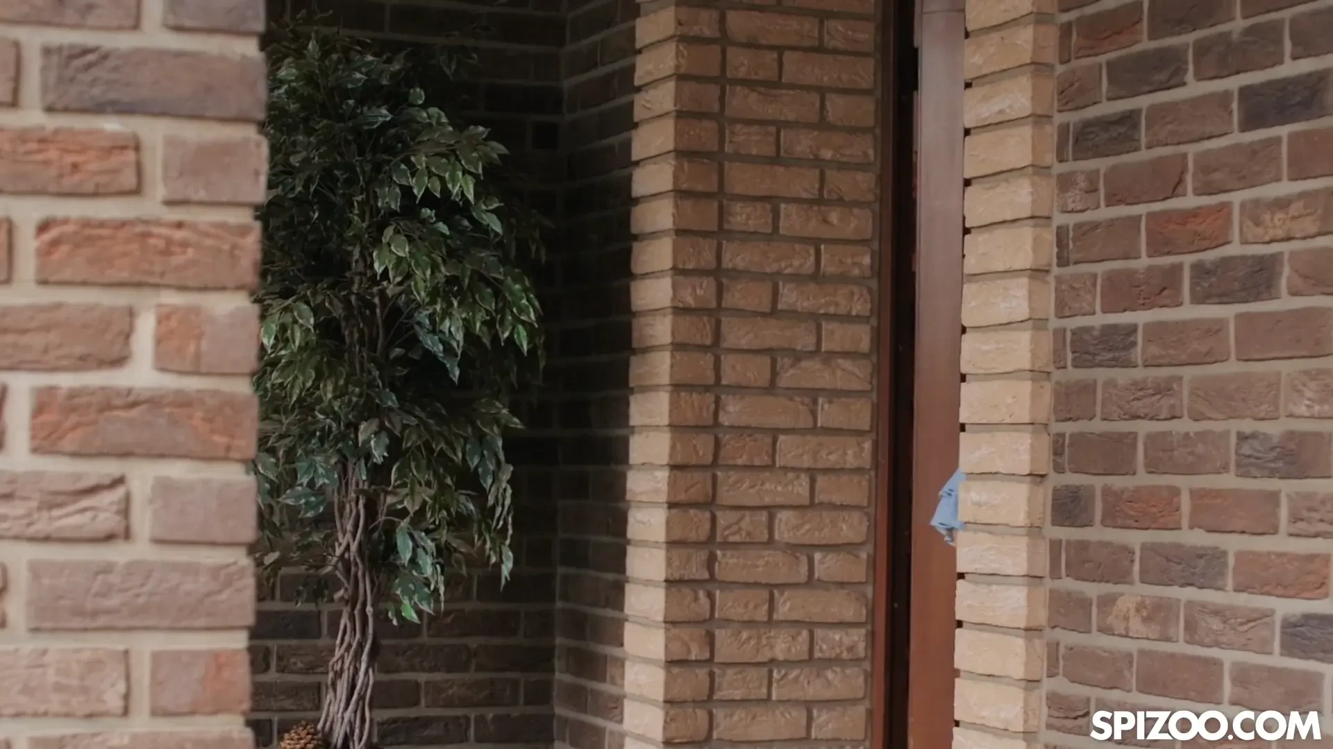 [Spizoo] Before Receiving A Messy Facial