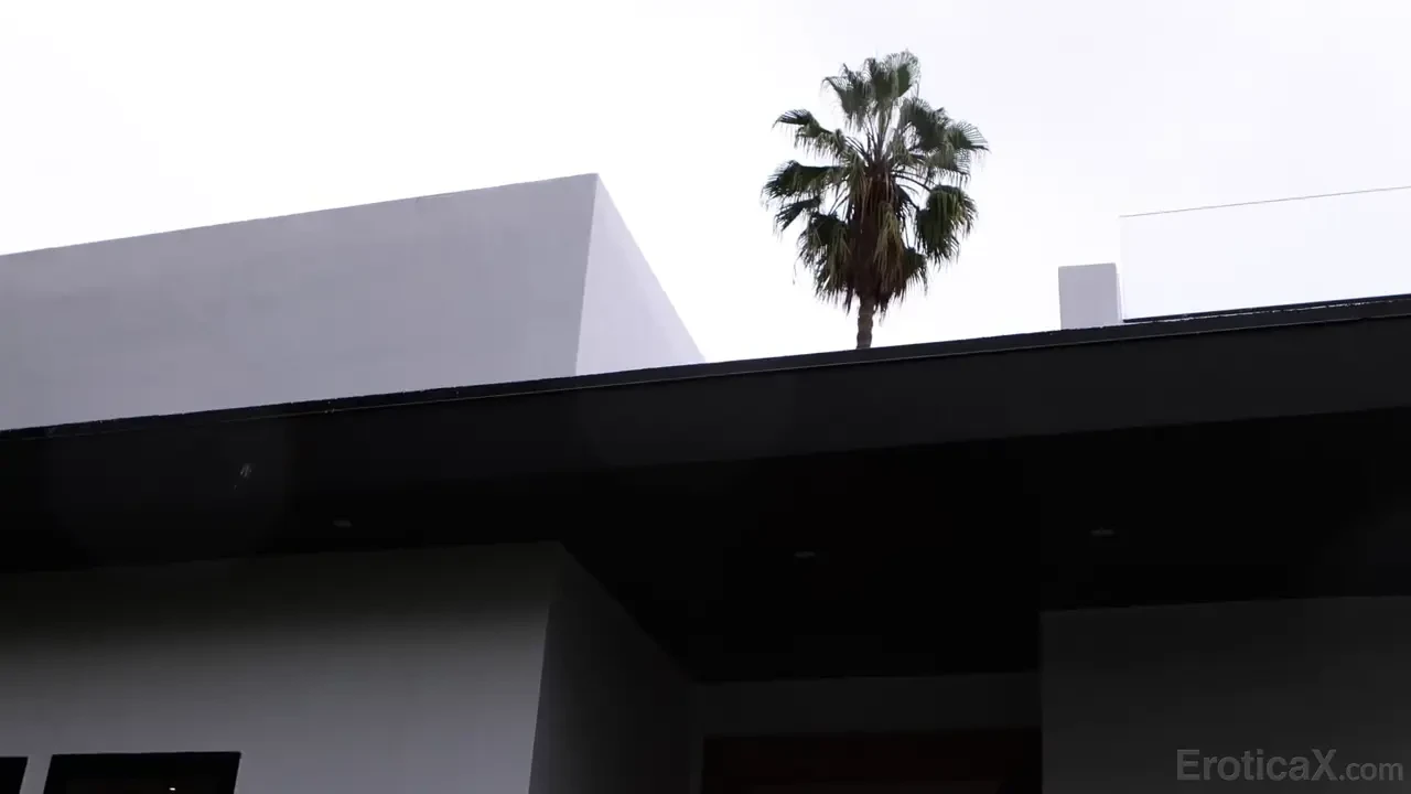 [EroticaX] Craving For Passion