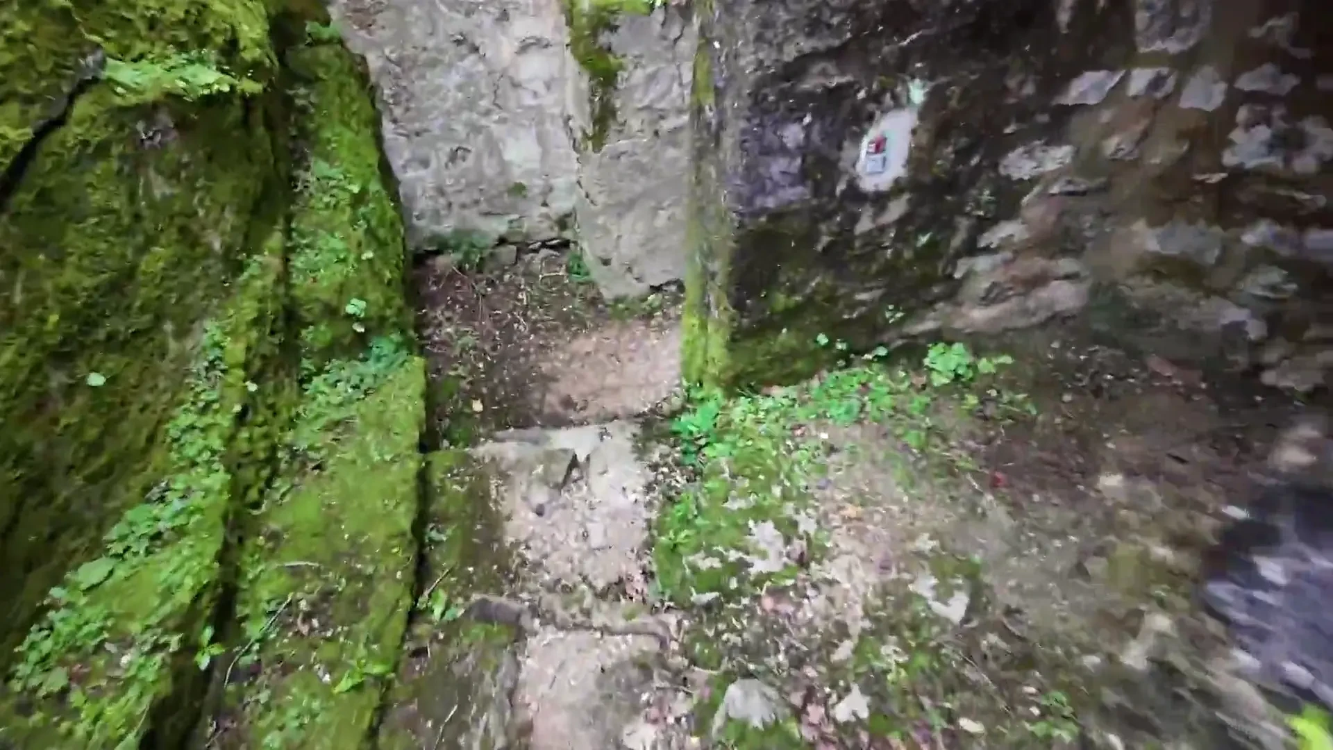 [JacquieEtMichelTV] 35, gets fucked just the way she wanted!