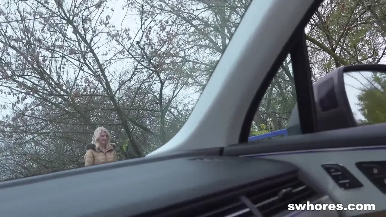 [Swhores] Gorgeous MILF Rents Out Her Pussy For Sex