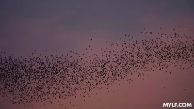 [GotMylf] Suck the Succubus Out of Me