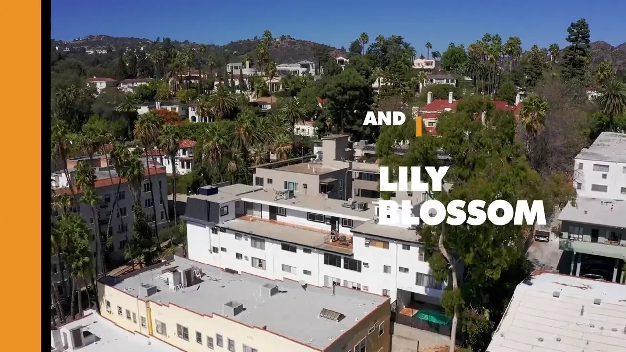 [MorePOV] Jadilica, Lily Blossom (04.22.2026)