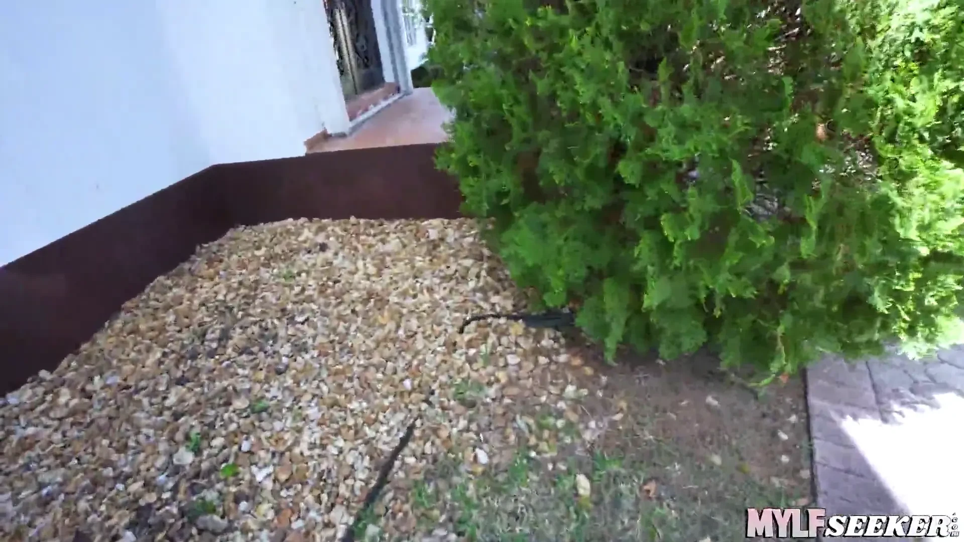 [MYLFSeeker] Caught Creeping, Now It's Time to Bark Like a Dog