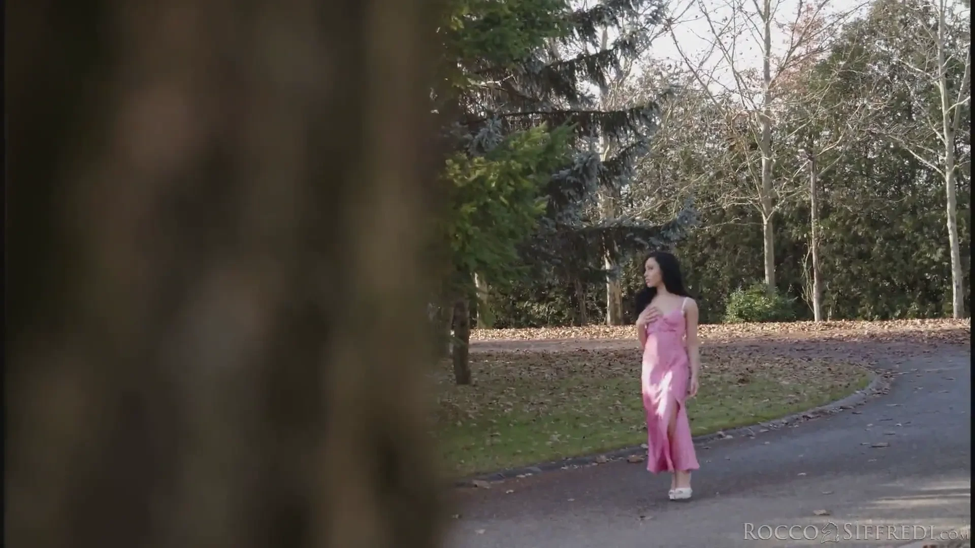 [RoccoSiffredi] Hey You! Cum To Have Fun! #02 – Scene 1