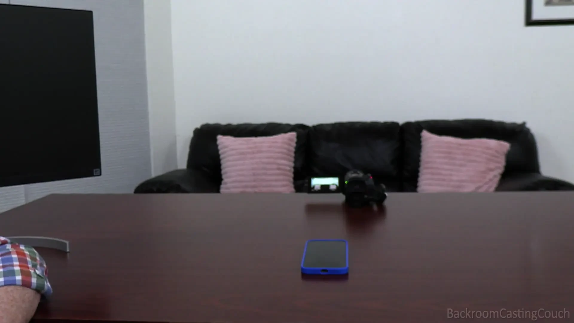 [BackroomCastingCouch] Domesticated Kitty