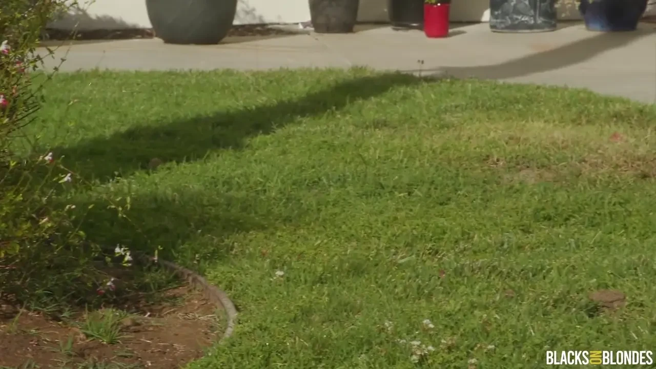 [BlacksOnBlondes] This Pussy Needs Some Privacy