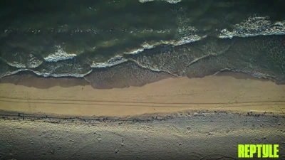 [ReptyleLabs] Unfiltered – Part 3