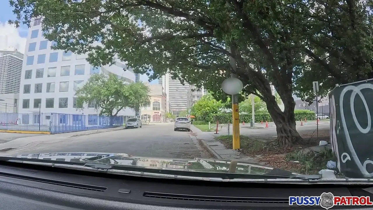 [PussyPatrol] Confused Pussy