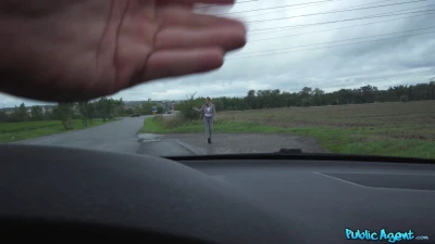 [PublicAgent] The Swedish Hitchhiker