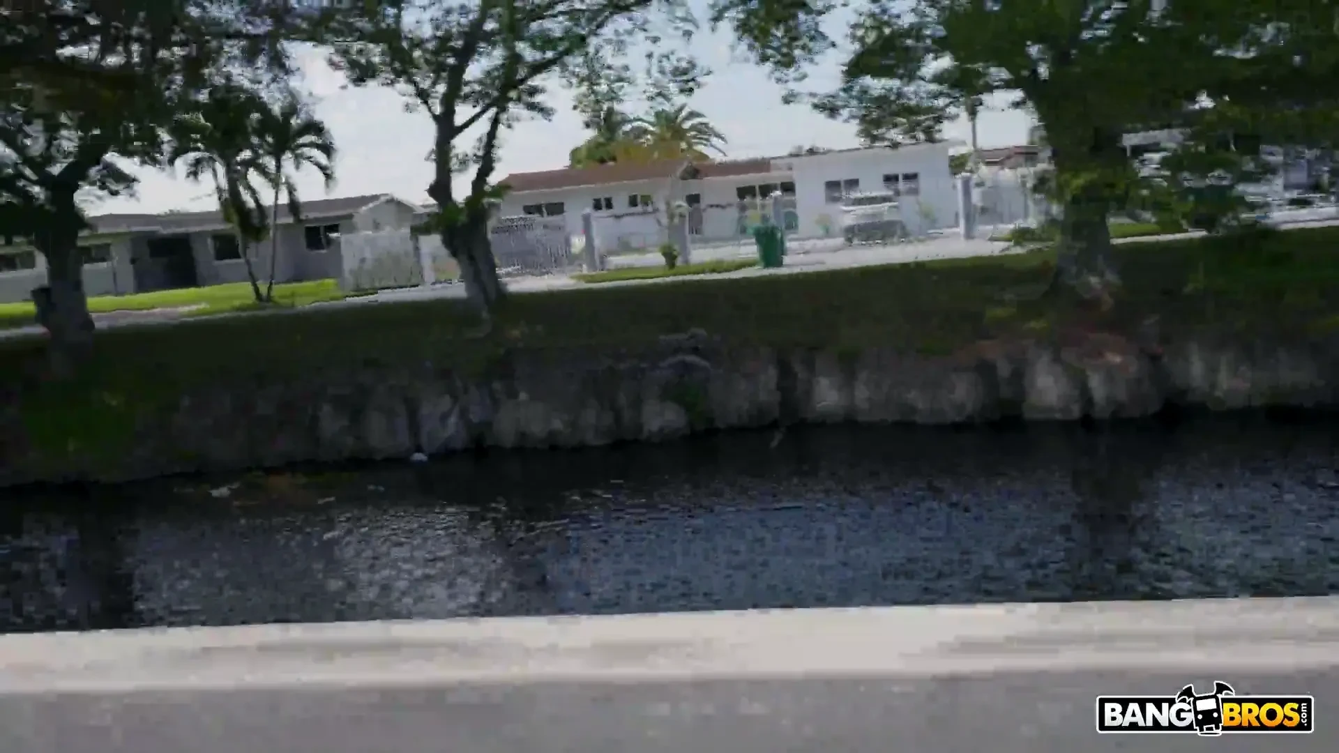 [BangBus] Wild Anal For Some Cash