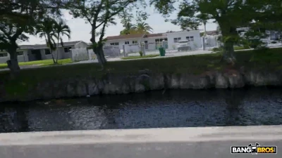 [BangBus] Wild Anal For Some Cash