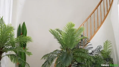 [CuckoldSessions] Getting The Job