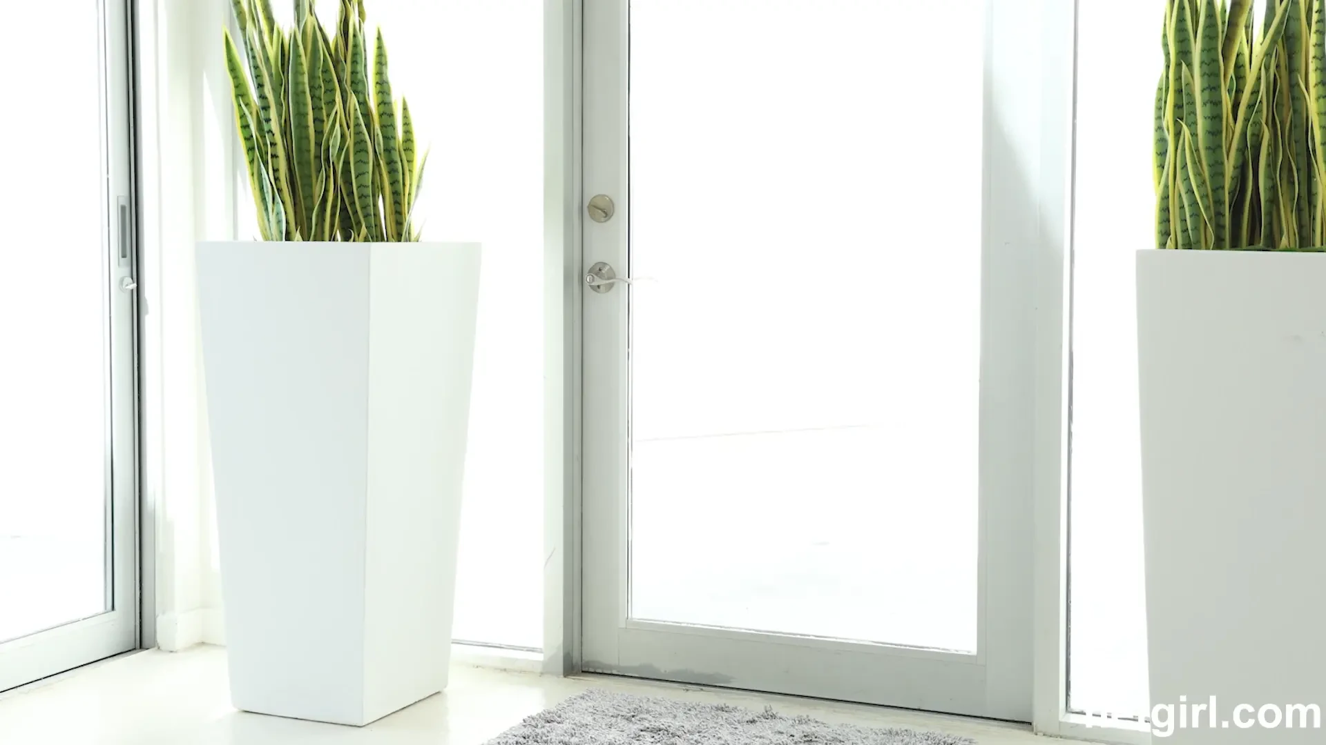 [NetGirl] omg the latest ng